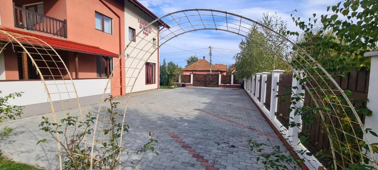Pensiunea Dara Rîşnov Extérieur photo
