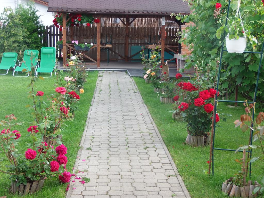 Pensiunea Dara Rîşnov Extérieur photo